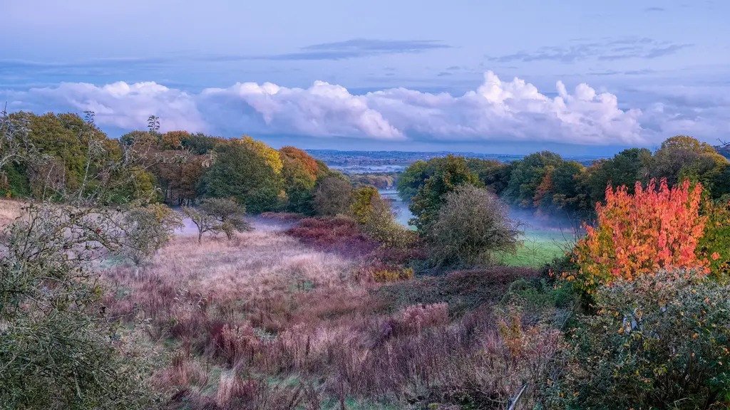 Mist settling over rolling Derbyshire countryside at dawn